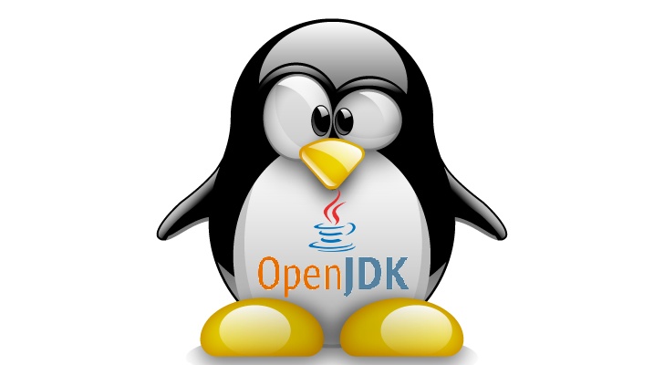its source java distribution microsoft openjdk